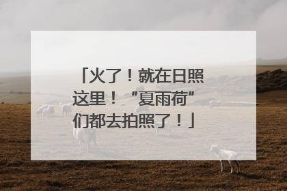 火了！就在日照这里！“夏雨荷”们都去拍照了！