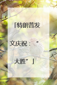 特朗普发文庆祝：“大胜”