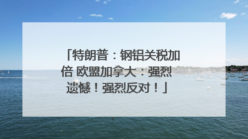 特朗普：钢铝关税加倍 欧盟加拿大：强烈遗憾！强烈反对！