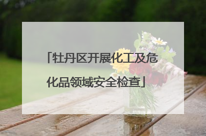 牡丹区开展化工及危化品领域安全检查