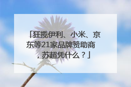 狂揽伊利、小米、京东等21家品牌赞助商，苏超凭什么？