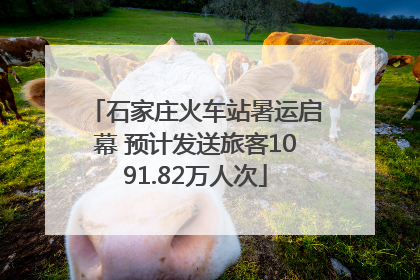 石家庄火车站暑运启幕 预计发送旅客1091.82万人次
