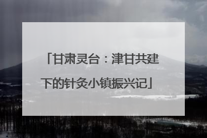 甘肃灵台：津甘共建下的针灸小镇振兴记