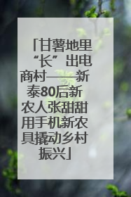 甘薯地里“长”出电商村——新泰80后新农人张甜甜用手机新农具撬动乡村振兴