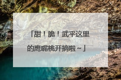 甜！脆！武平这里的鹰嘴桃开摘啦～