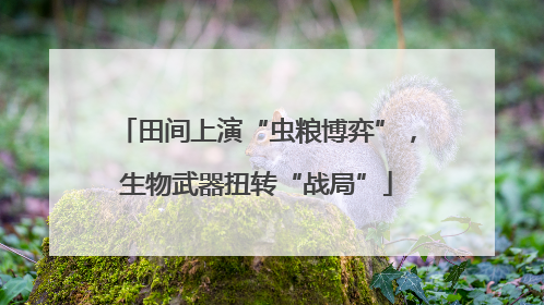 田间上演“虫粮博弈”，生物武器扭转“战局”