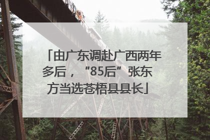 由广东调赴广西两年多后，“85后”张东方当选苍梧县县长
