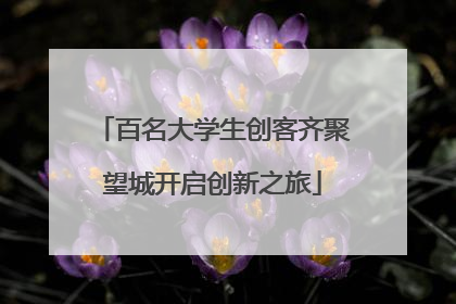 百名大学生创客齐聚望城开启创新之旅