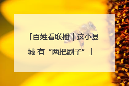 百姓看联播｜这小县城 有“两把刷子”