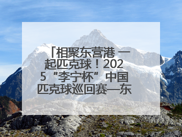 相聚东营港 一起匹克球！2025“李宁杯”中国匹克球巡回赛—东营站（CPC—1000）暨“好运山东”黄河口匹克球公开赛落幕