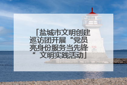 盐城市文明创建巡访团开展“党员亮身份服务当先锋”文明实践活动