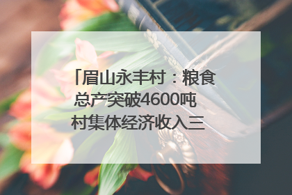 眉山永丰村：粮食总产突破4600吨 村集体经济收入三年倍增｜牵挂的村