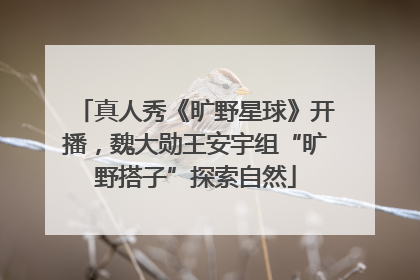 真人秀《旷野星球》开播，魏大勋王安宇组“旷野搭子”探索自然
