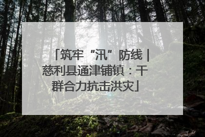 筑牢“汛”防线｜慈利县通津铺镇：干群合力抗击洪灾