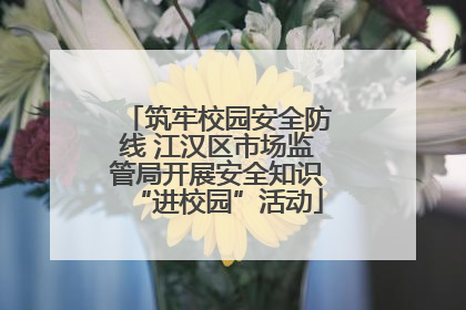 筑牢校园安全防线 江汉区市场监管局开展安全知识“进校园”活动
