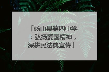 砀山县第四中学：弘扬爱国精神，深耕民法典宣传