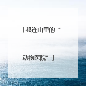 祁连山里的“动物医院”