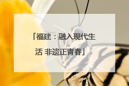 福建：融入现代生活 非遗正青春