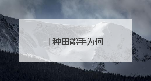 种田能手为何从容“放手”（三夏进行时）