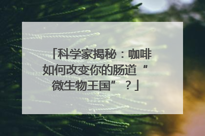 科学家揭秘：咖啡如何改变你的肠道“微生物王国”？