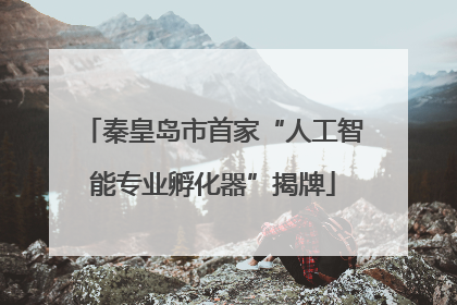 秦皇岛市首家“人工智能专业孵化器”揭牌