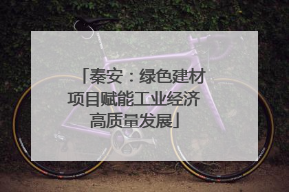 秦安：绿色建材项目赋能工业经济高质量发展