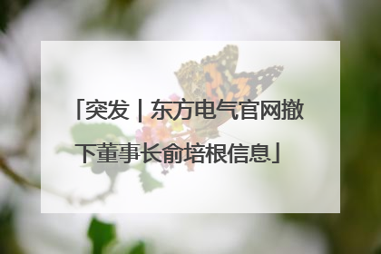 突发｜东方电气官网撤下董事长俞培根信息