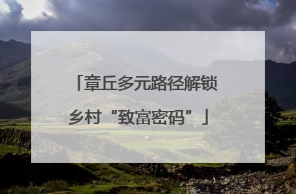 章丘多元路径解锁乡村“致富密码”