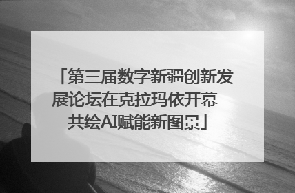 第三届数字新疆创新发展论坛在克拉玛依开幕 共绘AI赋能新图景