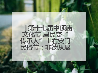 第十七届中顶庙文化节 居民变“传承人”！右安门民俗节：非遗从展柜走进烟火气