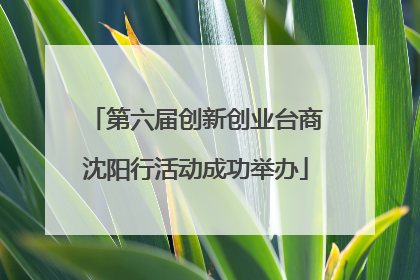第六届创新创业台商沈阳行活动成功举办