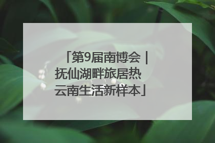 第9届南博会｜抚仙湖畔旅居热 云南生活新样本