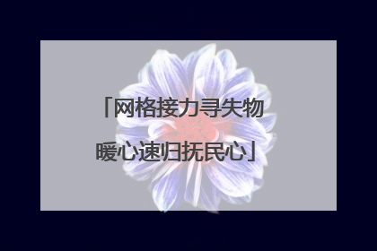 网格接力寻失物 暖心速归抚民心