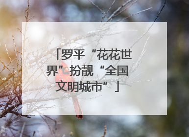 罗平“花花世界”扮靓“全国文明城市”