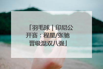 羽毛球｜印尼公开赛：程星/张驰晋级混双八强