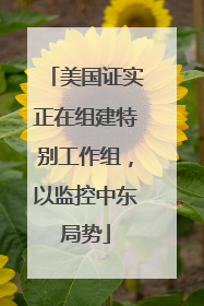 美国证实正在组建特别工作组，以监控中东局势