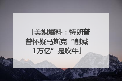美媒爆料：特朗普曾怀疑马斯克“削减1万亿”是吹牛