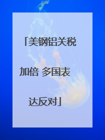 美钢铝关税加倍 多国表达反对