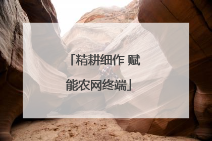 精耕细作 赋能农网终端