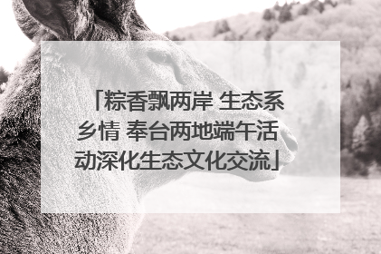 粽香飘两岸 生态系乡情 奉台两地端午活动深化生态文化交流