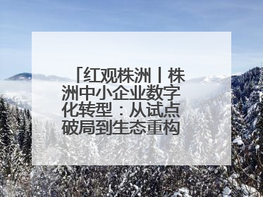 红观株洲丨株洲中小企业数字化转型：从试点破局到生态重构的进阶之路