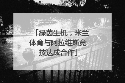 绿茵生机，米兰体育与阿拉维斯竞技达成合作