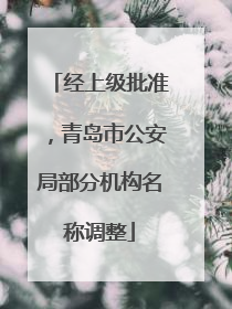 经上级批准，青岛市公安局部分机构名称调整
