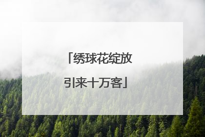 绣球花绽放 引来十万客