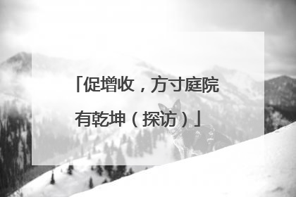 促增收，方寸庭院有乾坤（探访）