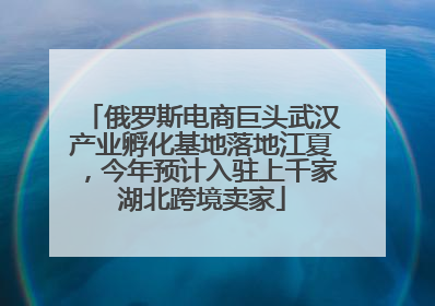 俄罗斯电商巨头武汉产业孵化基地落地江夏，今年预计入驻上千家湖北跨境卖家