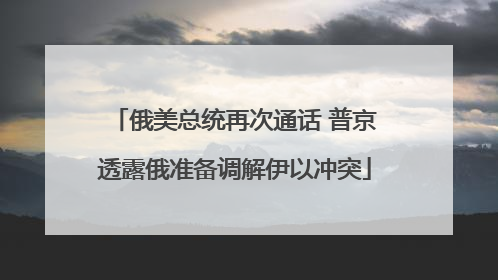 俄美总统再次通话 普京透露俄准备调解伊以冲突