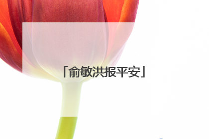 俞敏洪报平安