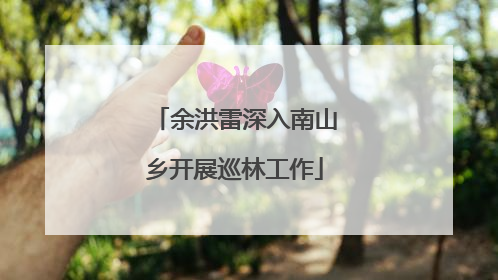 余洪雷深入南山乡开展巡林工作