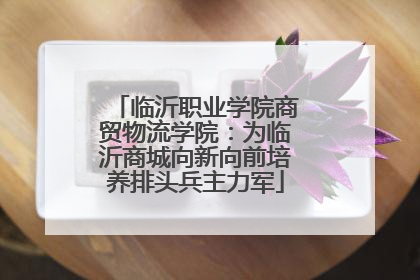 临沂职业学院商贸物流学院：为临沂商城向新向前培养排头兵主力军